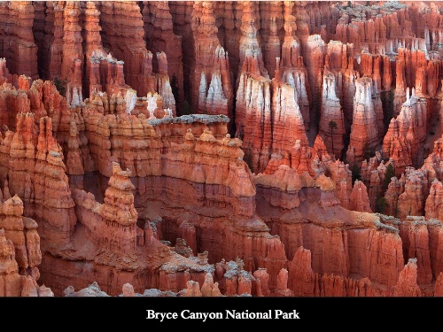 New Western Motel image 3